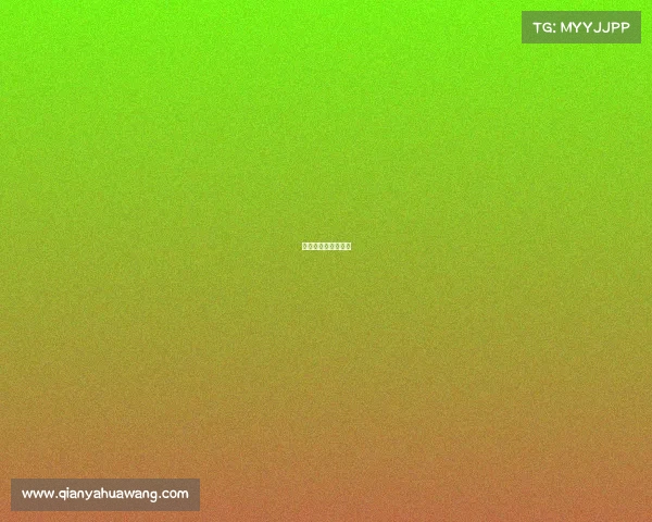 网球赛事运营与管理