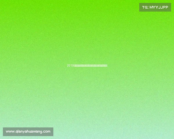 2019年国际重大赛事精选回顾激动人心的时刻与传奇故事